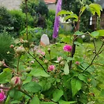 Familienfreundlich Im Naturpark Hassberge Mit Gehobener Gastronomie Apartament